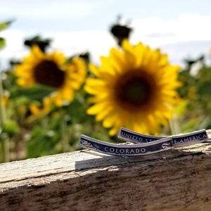 Silver State Quarter Ear Climbers